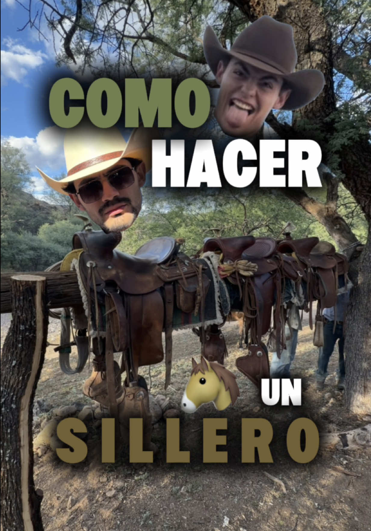 @Alejandro Molina
