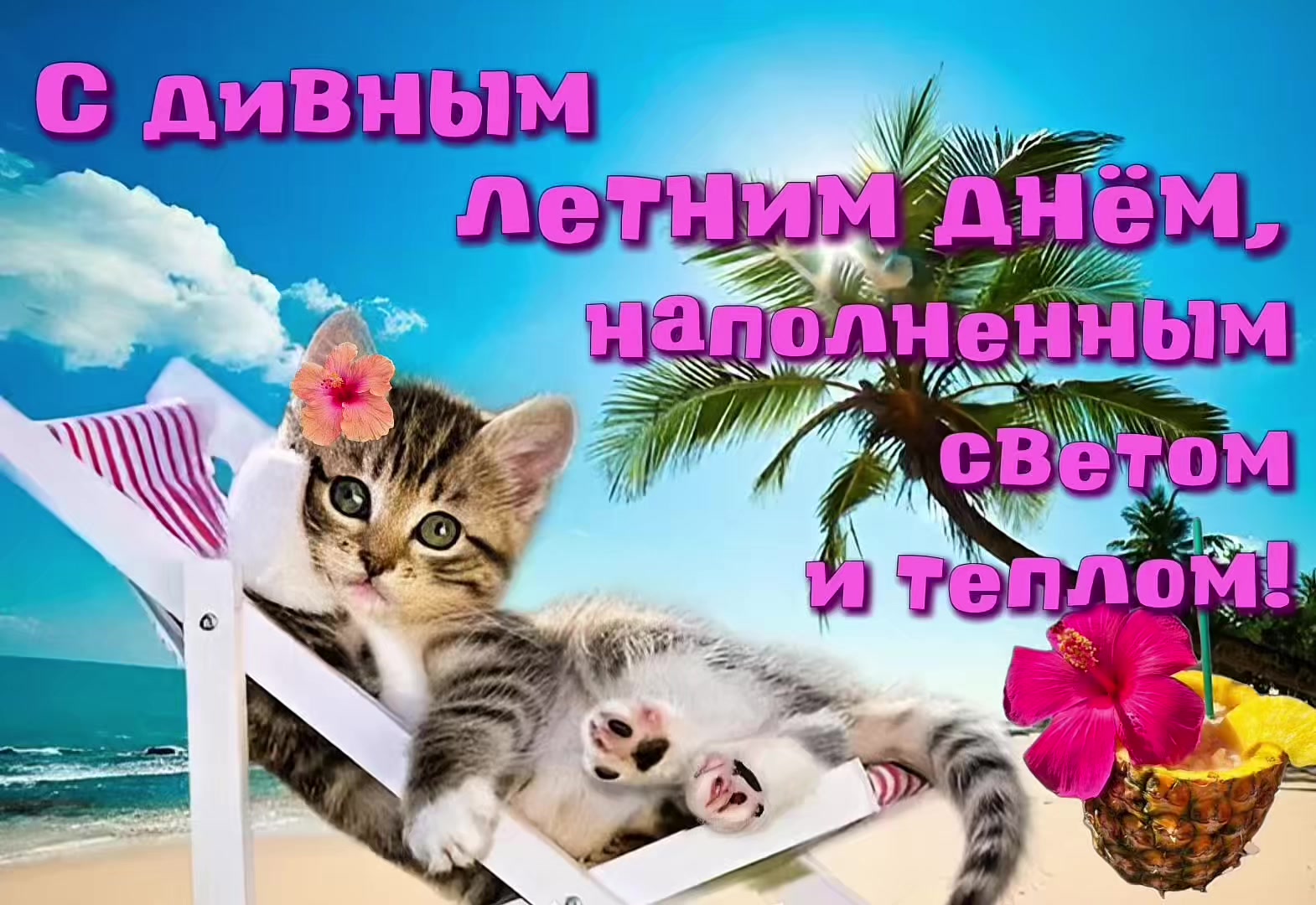 @котики на каждый день