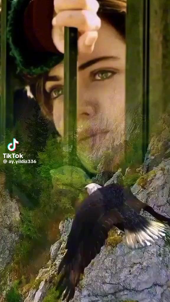 @Nur Şam ❤️❤️