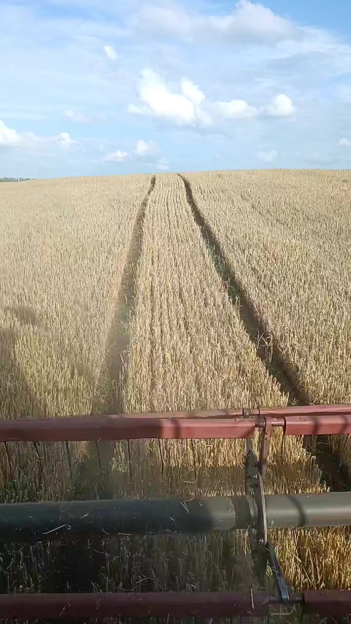 @Андрей