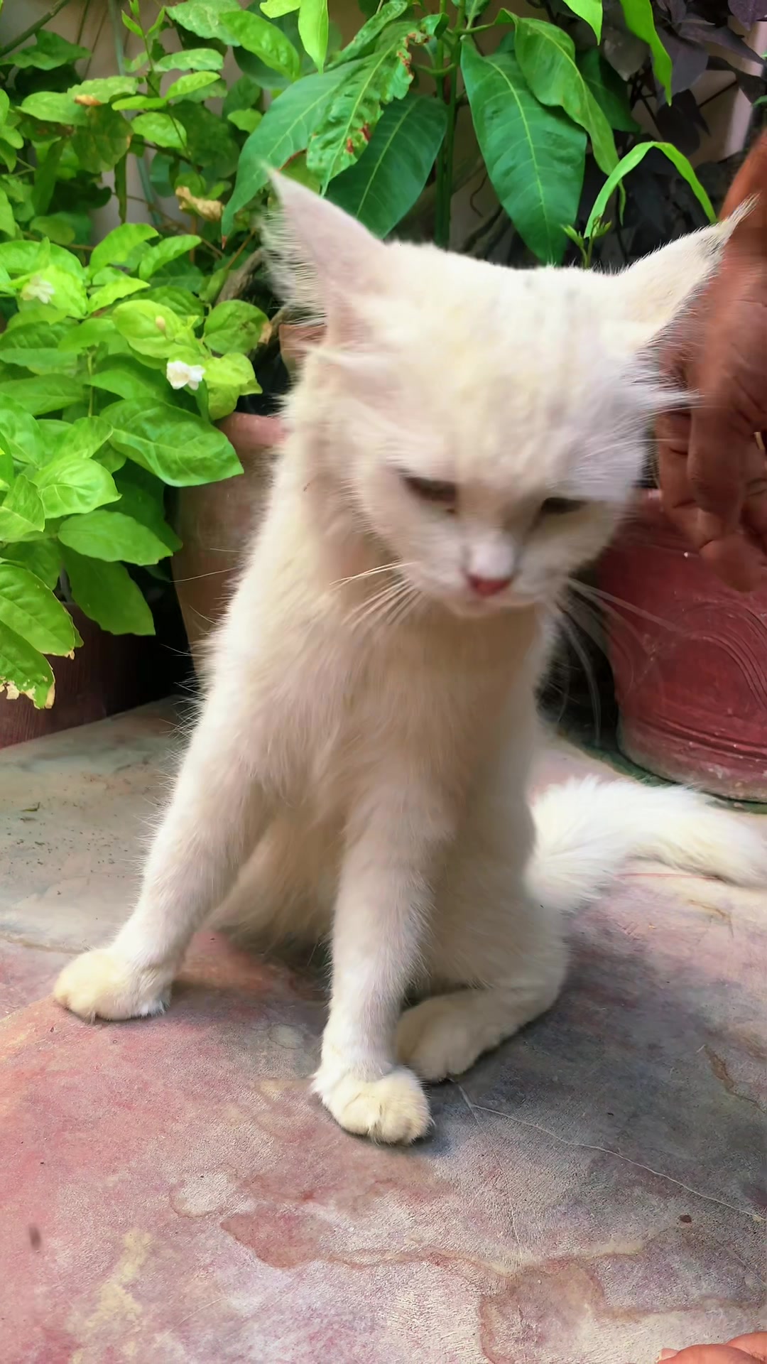 @Major_khoso_7