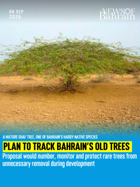 @News of Bahrain