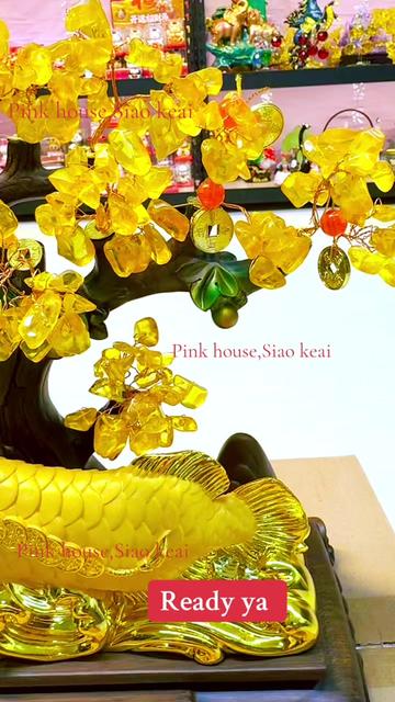 @Cece pink house
