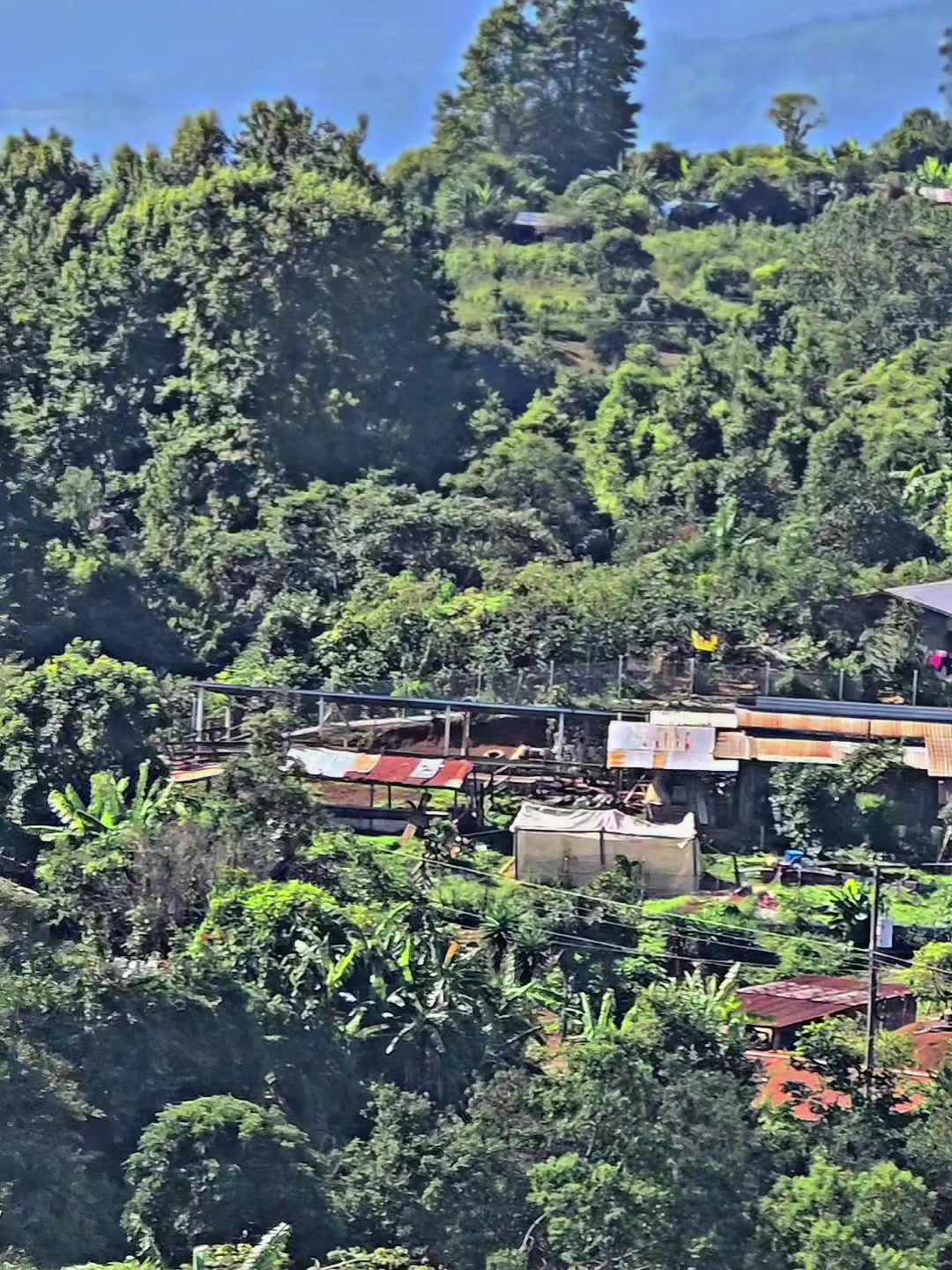 @Tato López