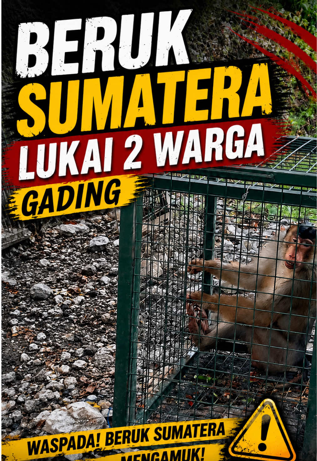 @gunungkidul