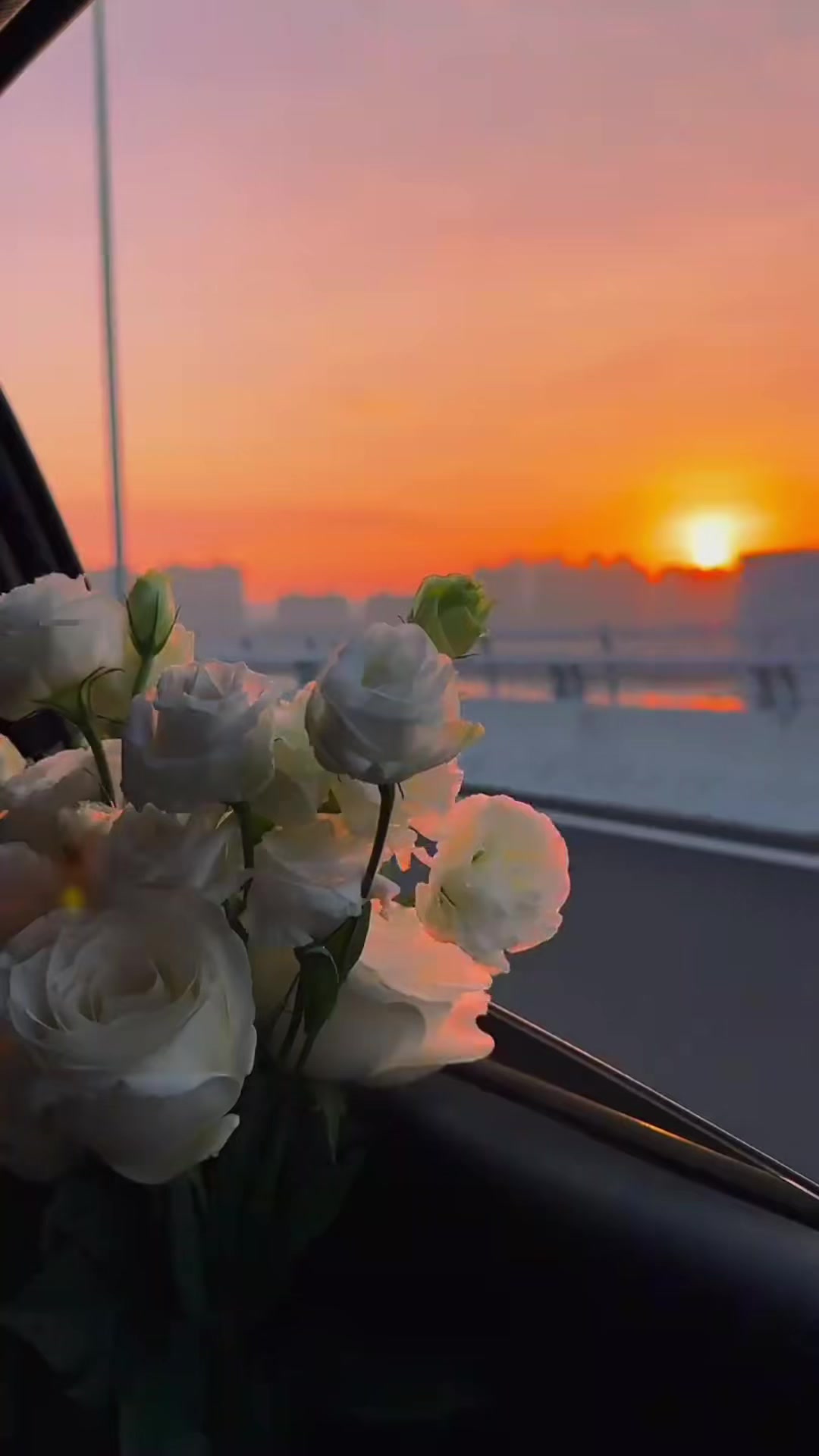 @𝕛ꪮꪑꪖꪀꪖ