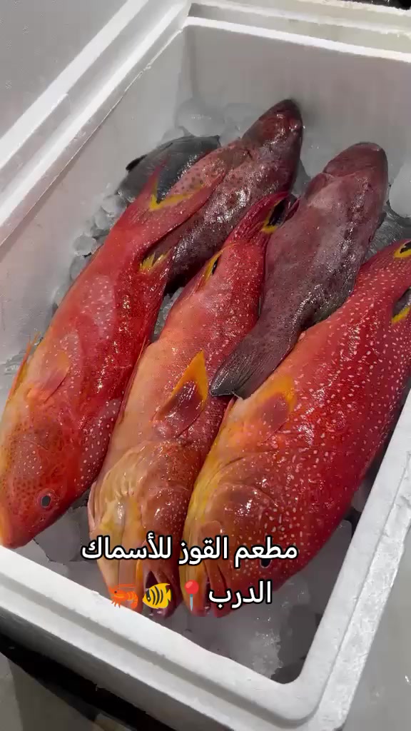 @مطعم القوز للأسماك.الدرب🧿