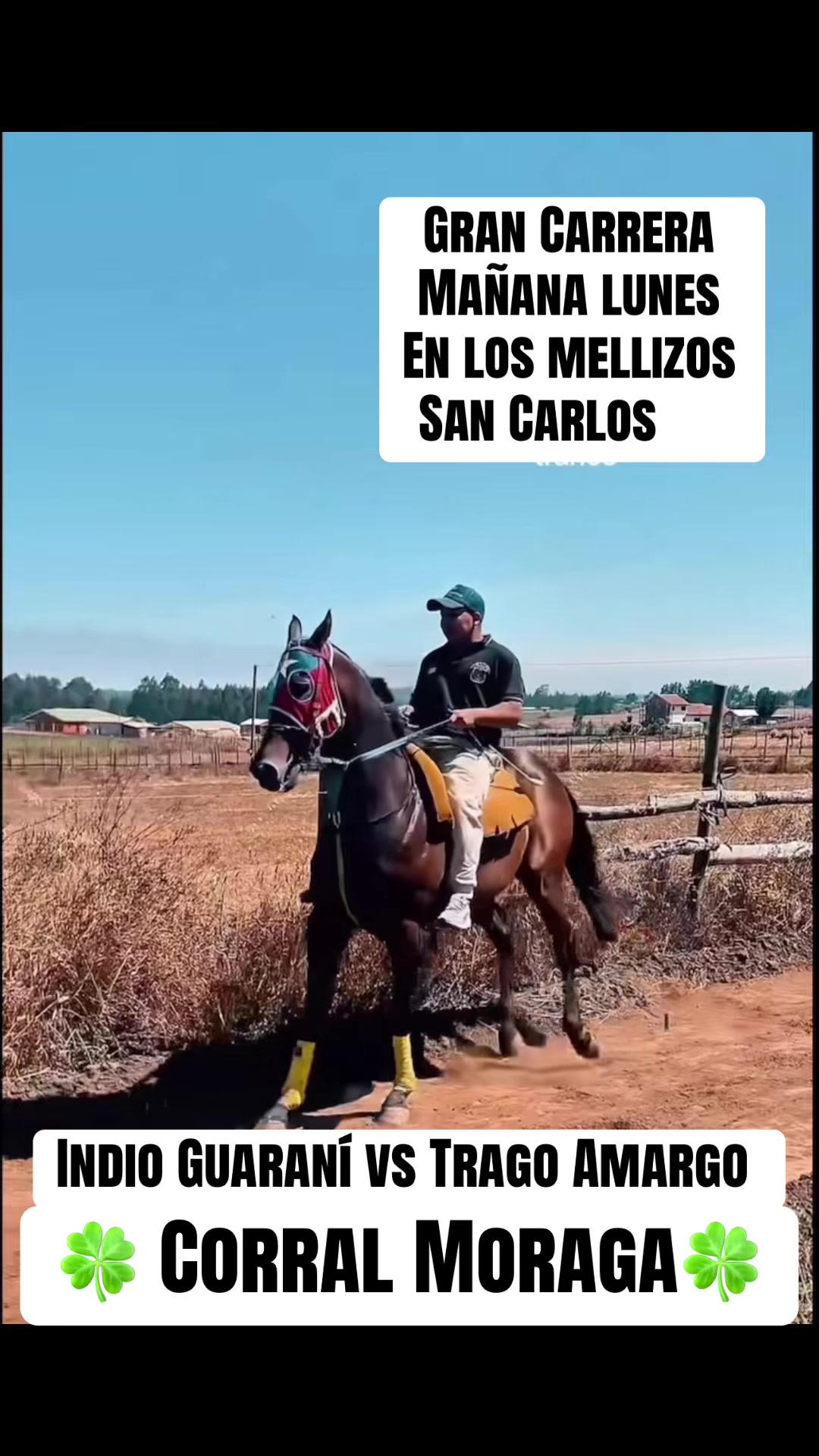 @daniela