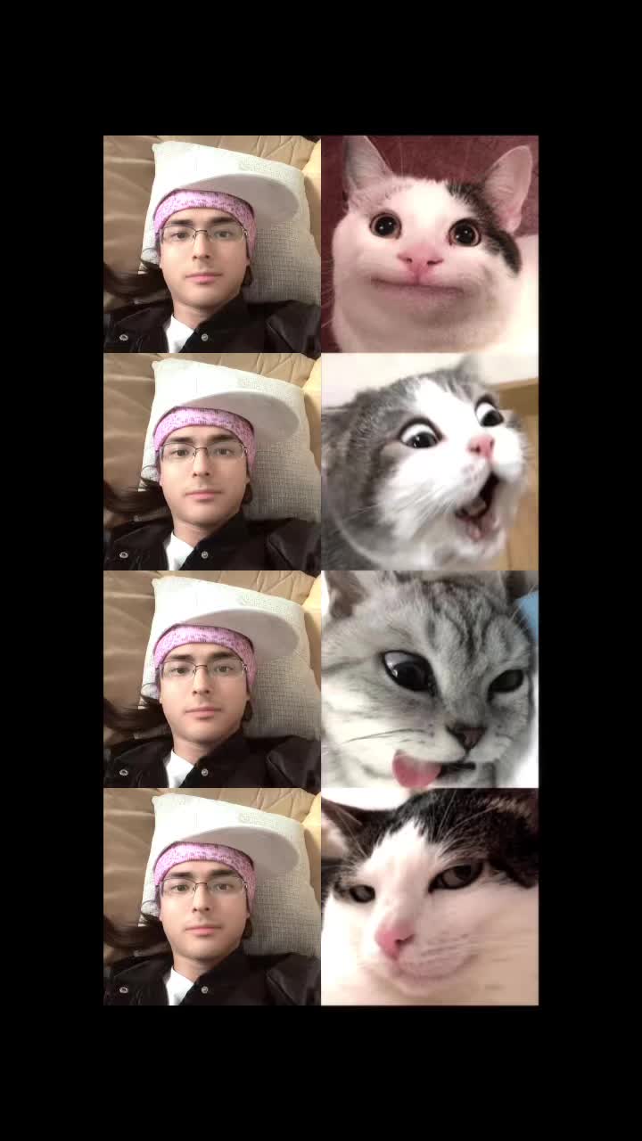@pokemonfan99