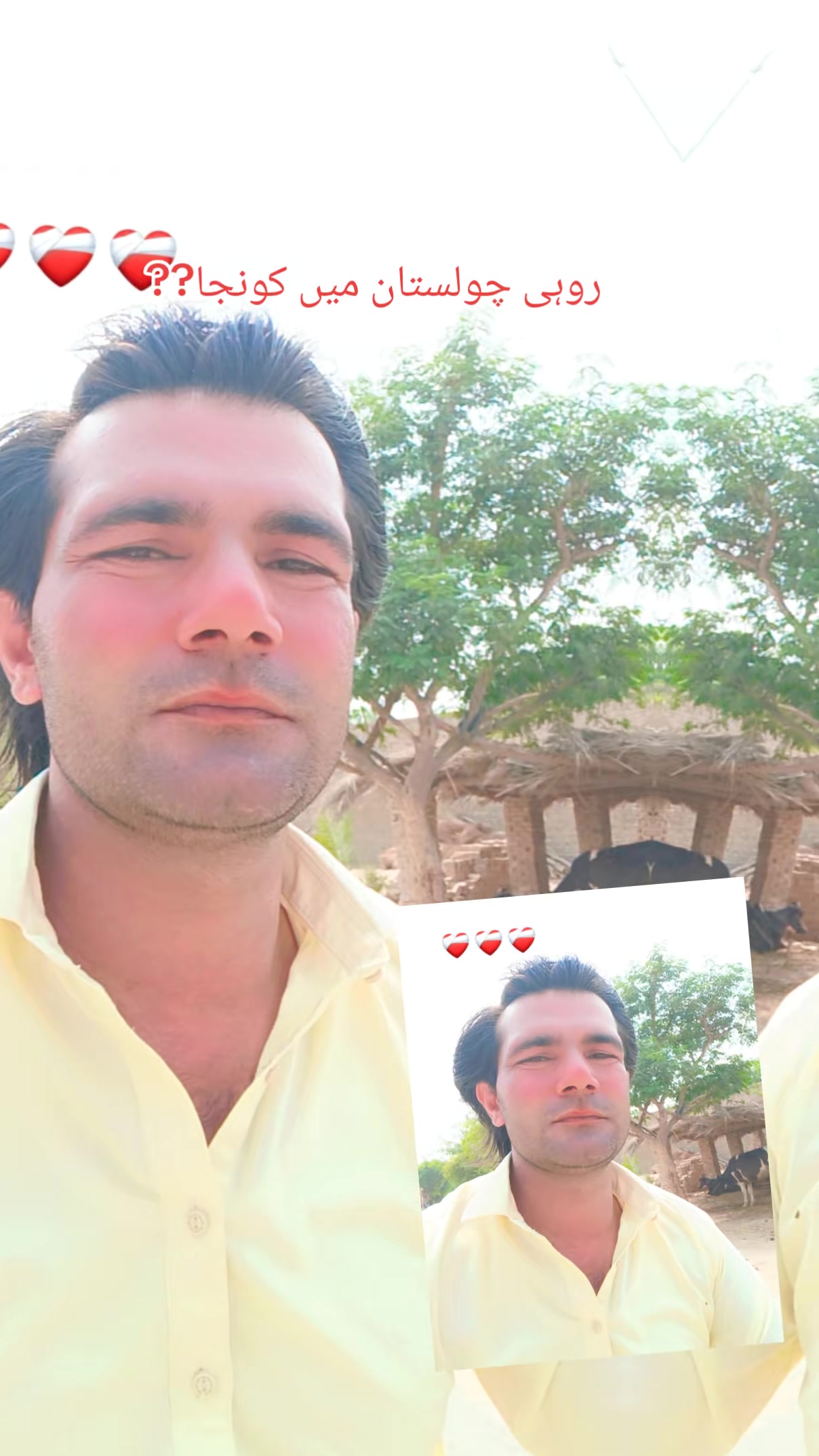@Muhammad Imran