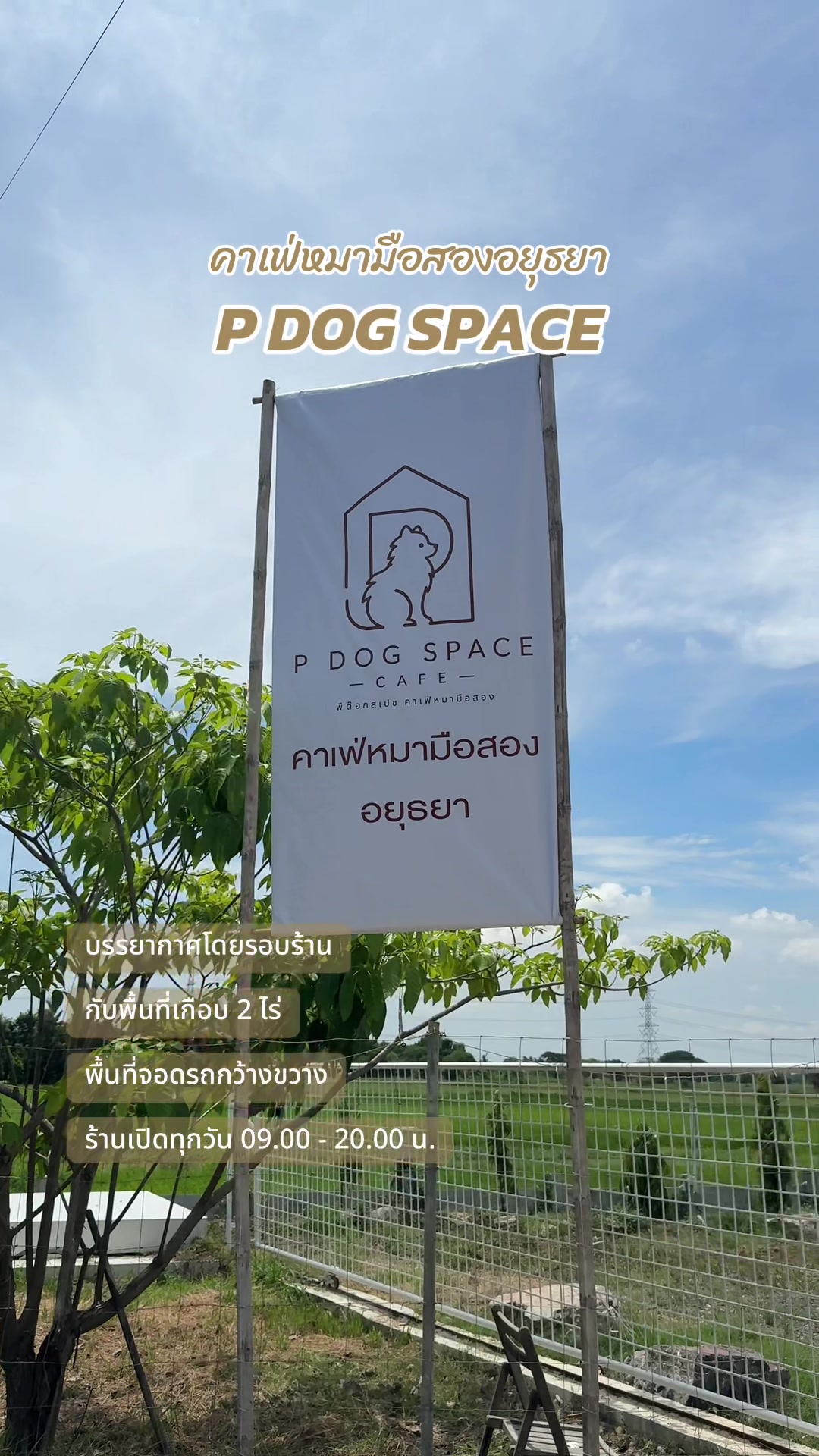 @P Dog Space คาเฟ่หมามือสอง 🐶