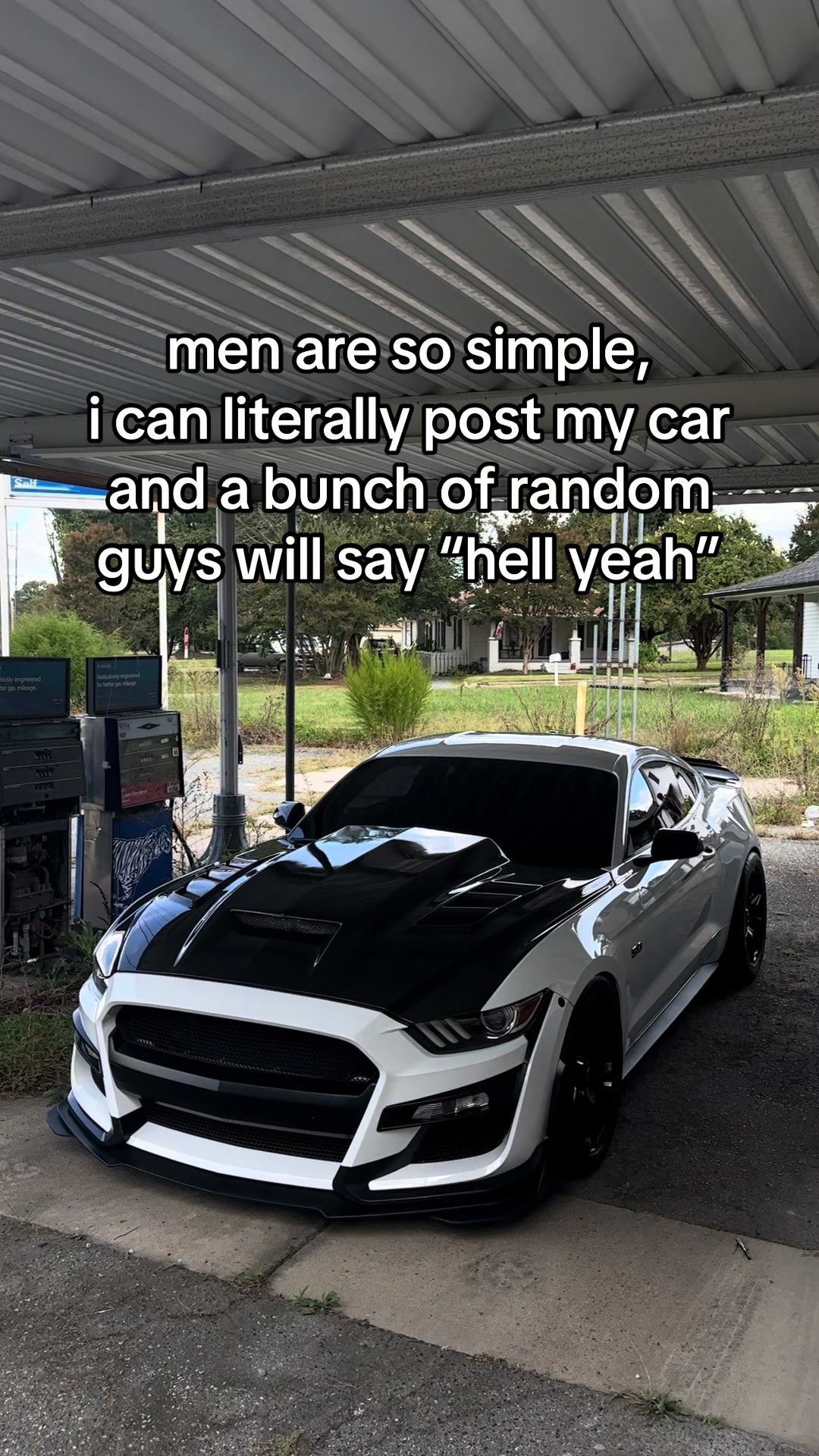 @Noah