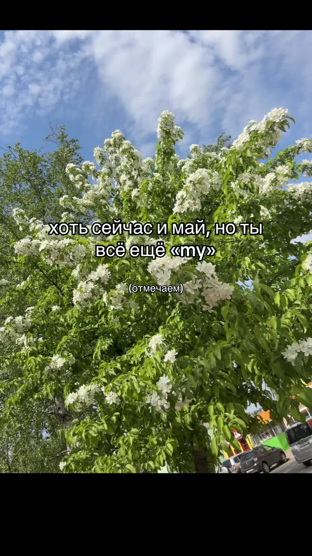@nastoo))