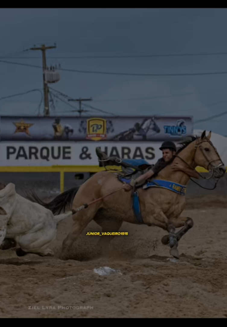 @forr&oacute; de vaquejada