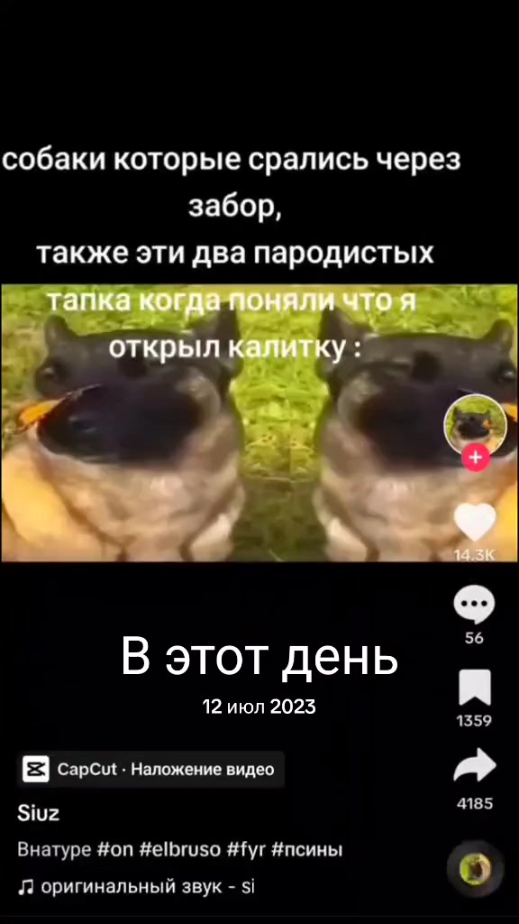 @хз