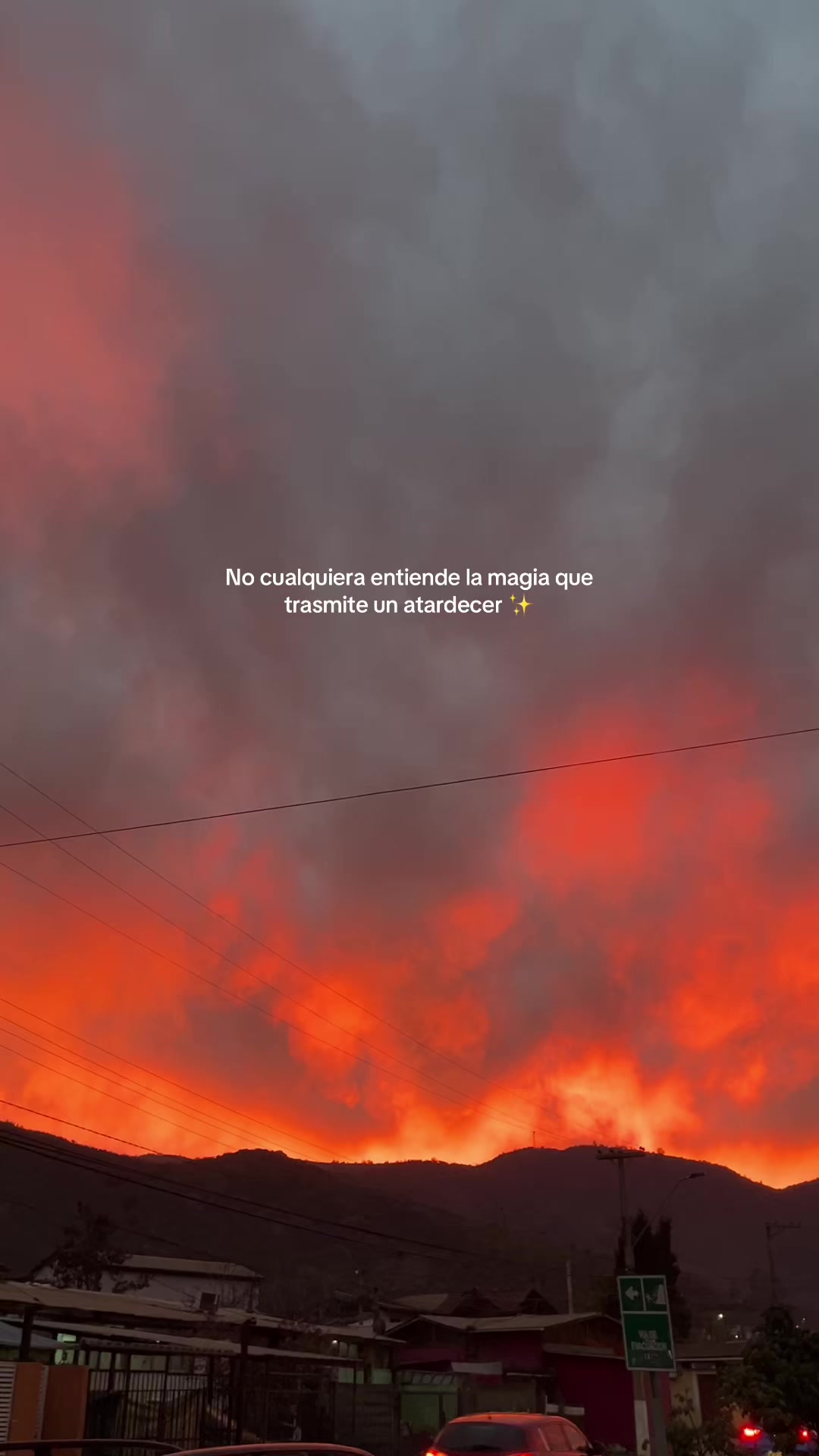 @️ Priss🌙