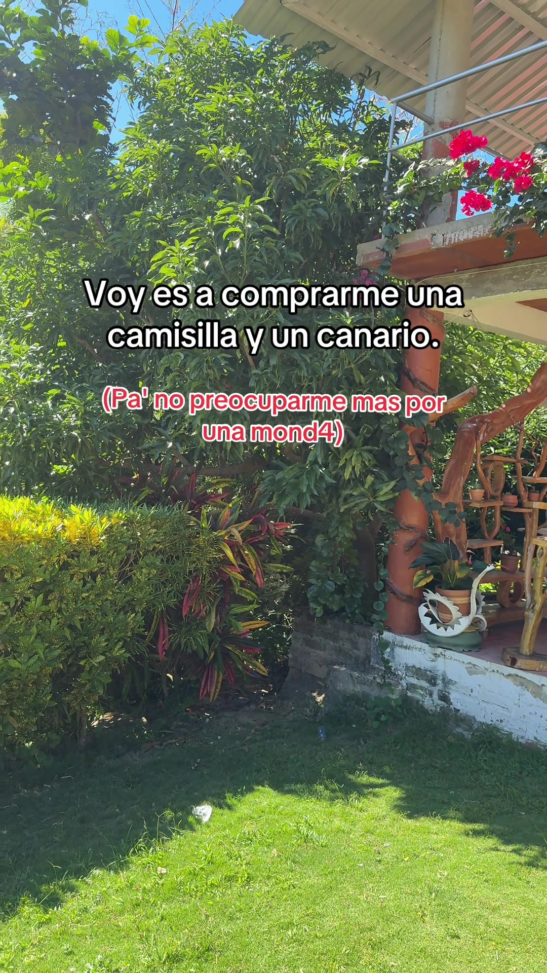 @Samir Camacho