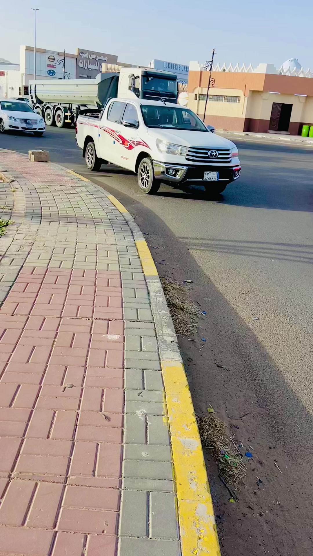 @👑 غنم رنگ جواد 👑 804