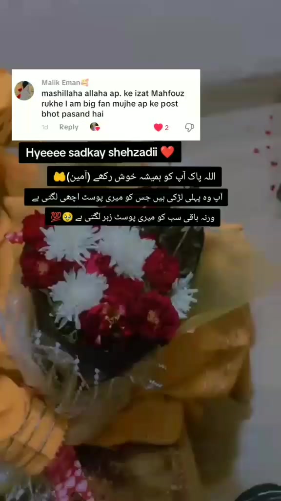 @Arain Saab