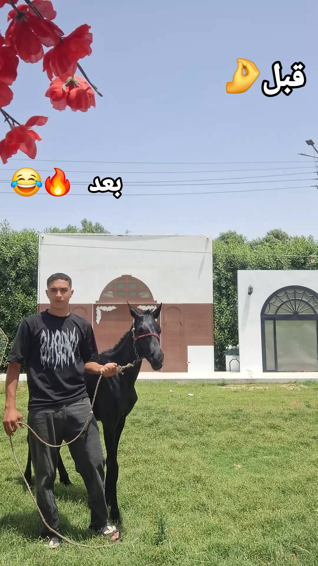 @Hossam El omda