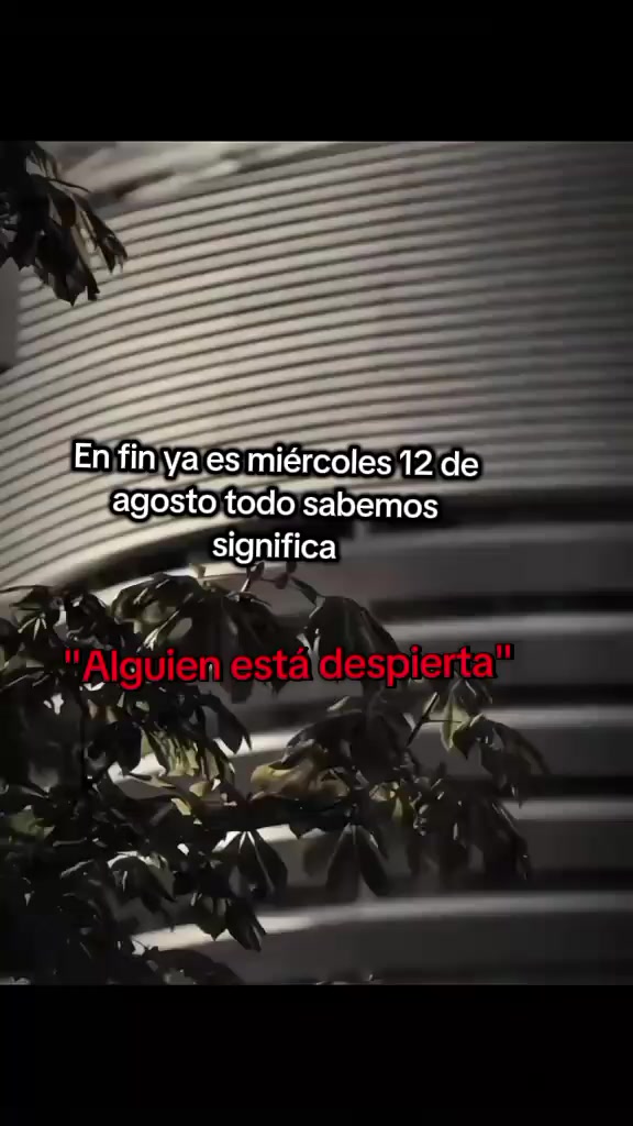 @🤍🤍 yeferson 502 🇬🇹