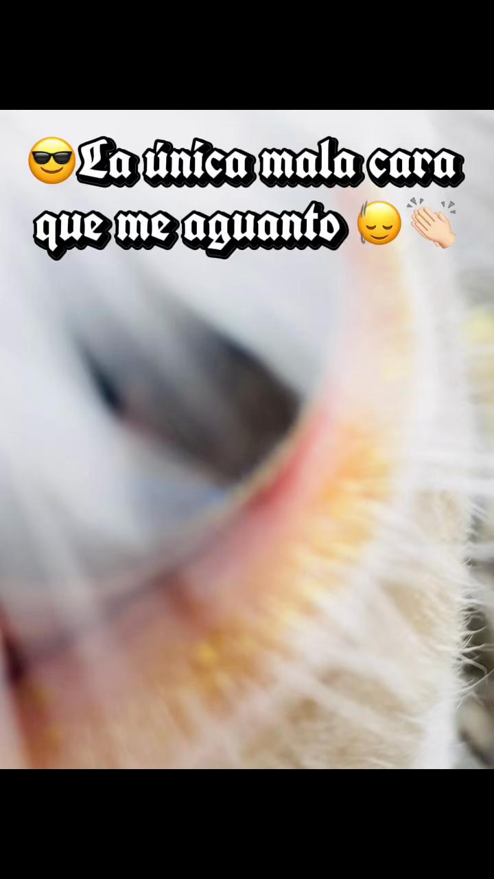 @Sebas Rosero 😉