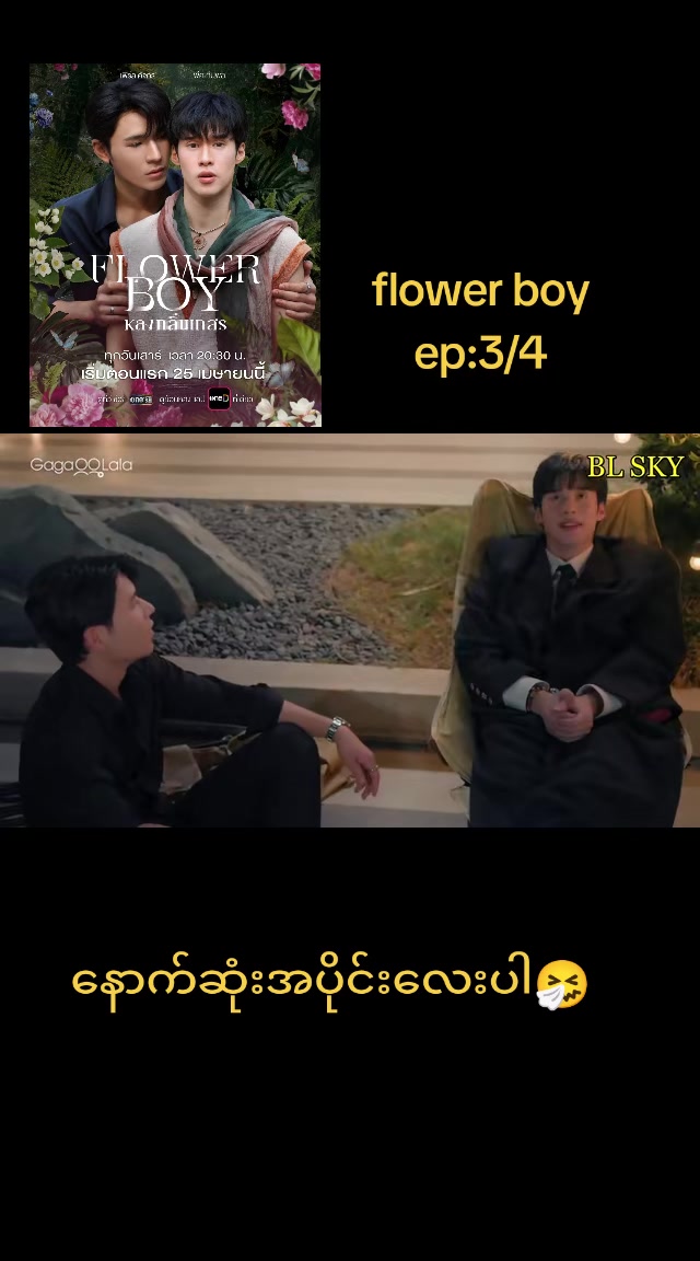 @pp(bl fan)