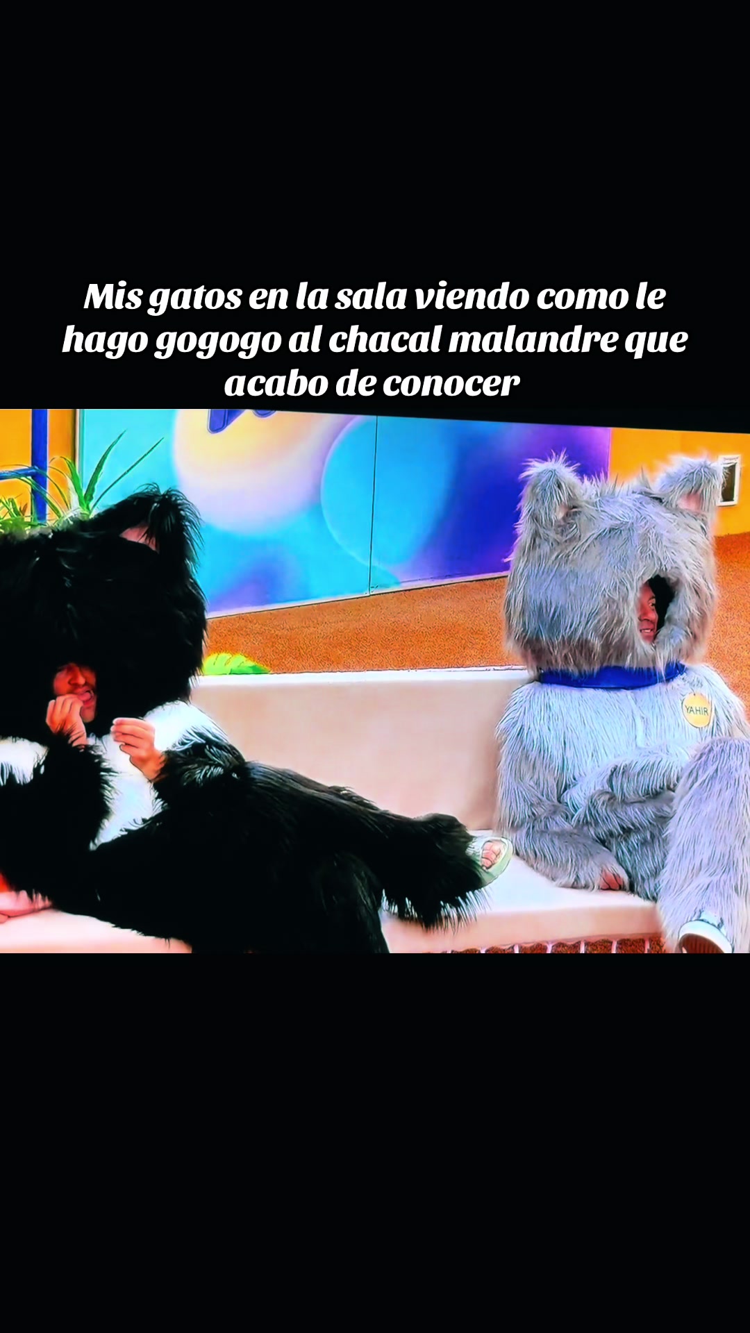 @Javier Villegas