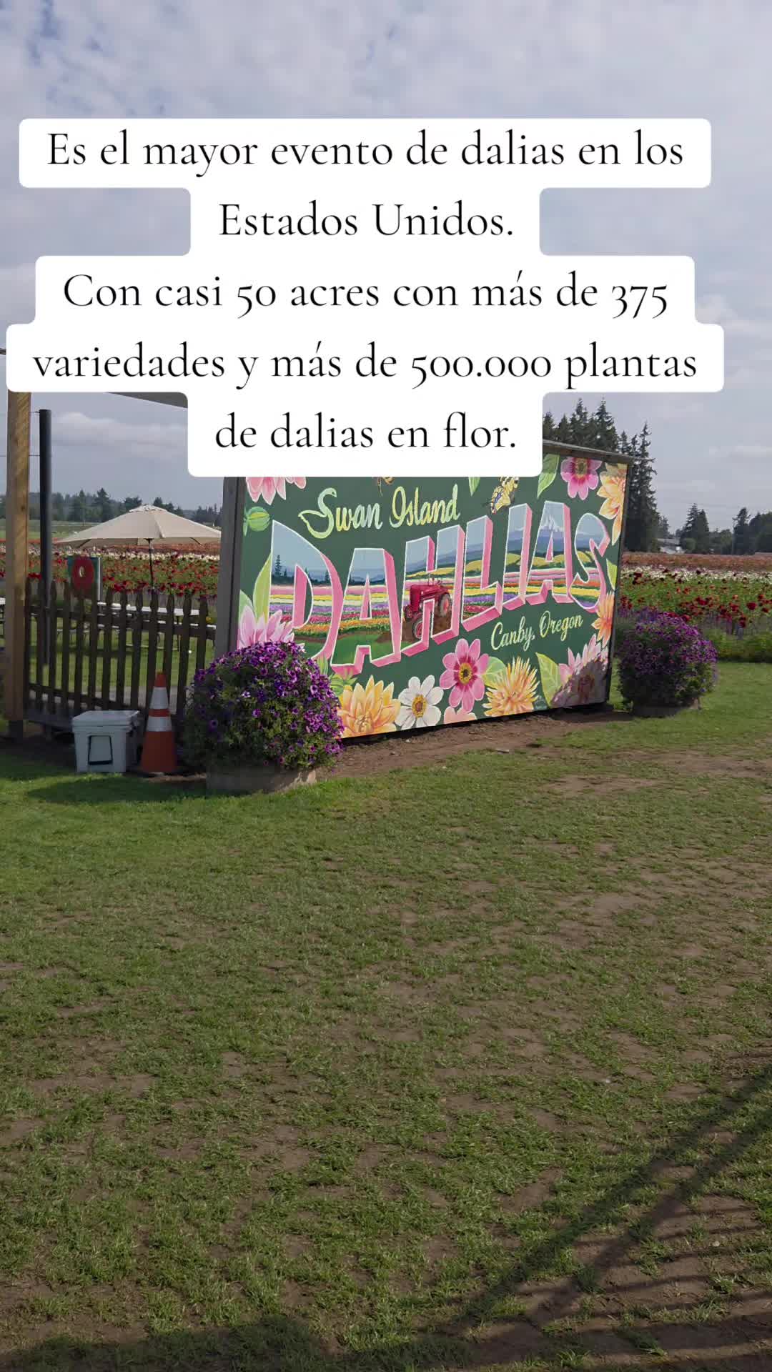 @vega🚶♂️🚶🏕
