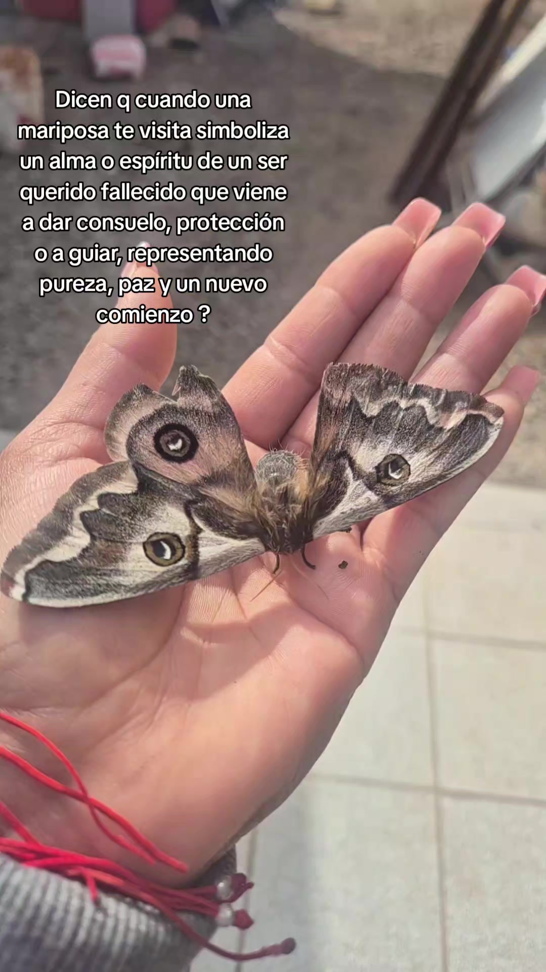 @Yessenia Rojas Orell