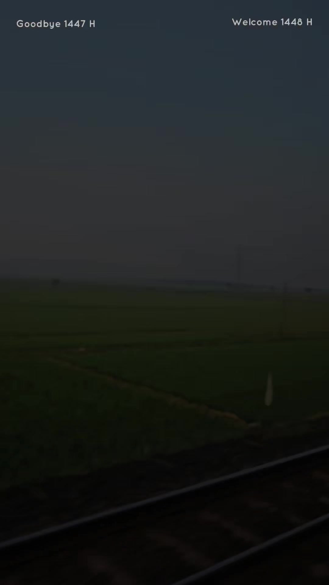 @Sang Elang_LSP