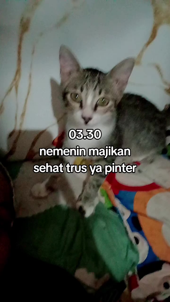 @toko sembako elifah syifah