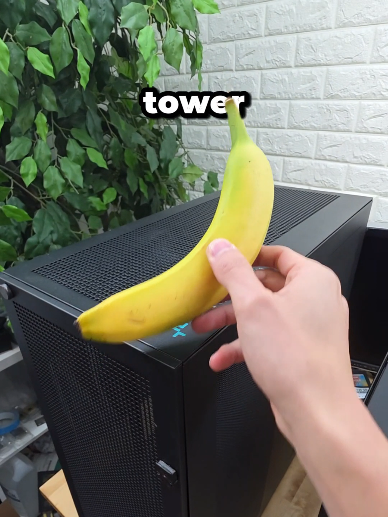 @mryeester