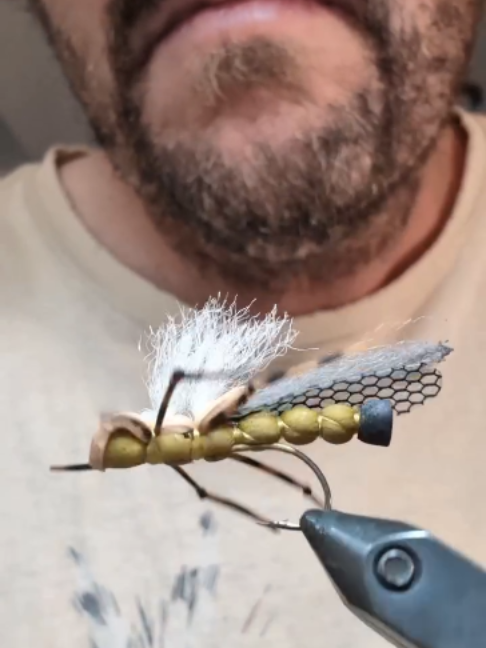 @veevusFishing