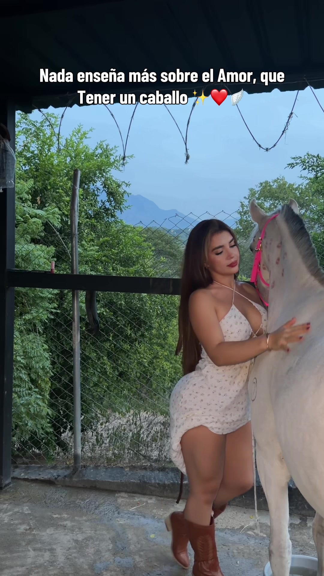 @🤍🐮 Allison Hernández 🐮🤍