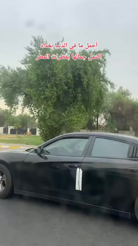 @⋆.˚✮ ريحانة الربيع✮˚.⋆