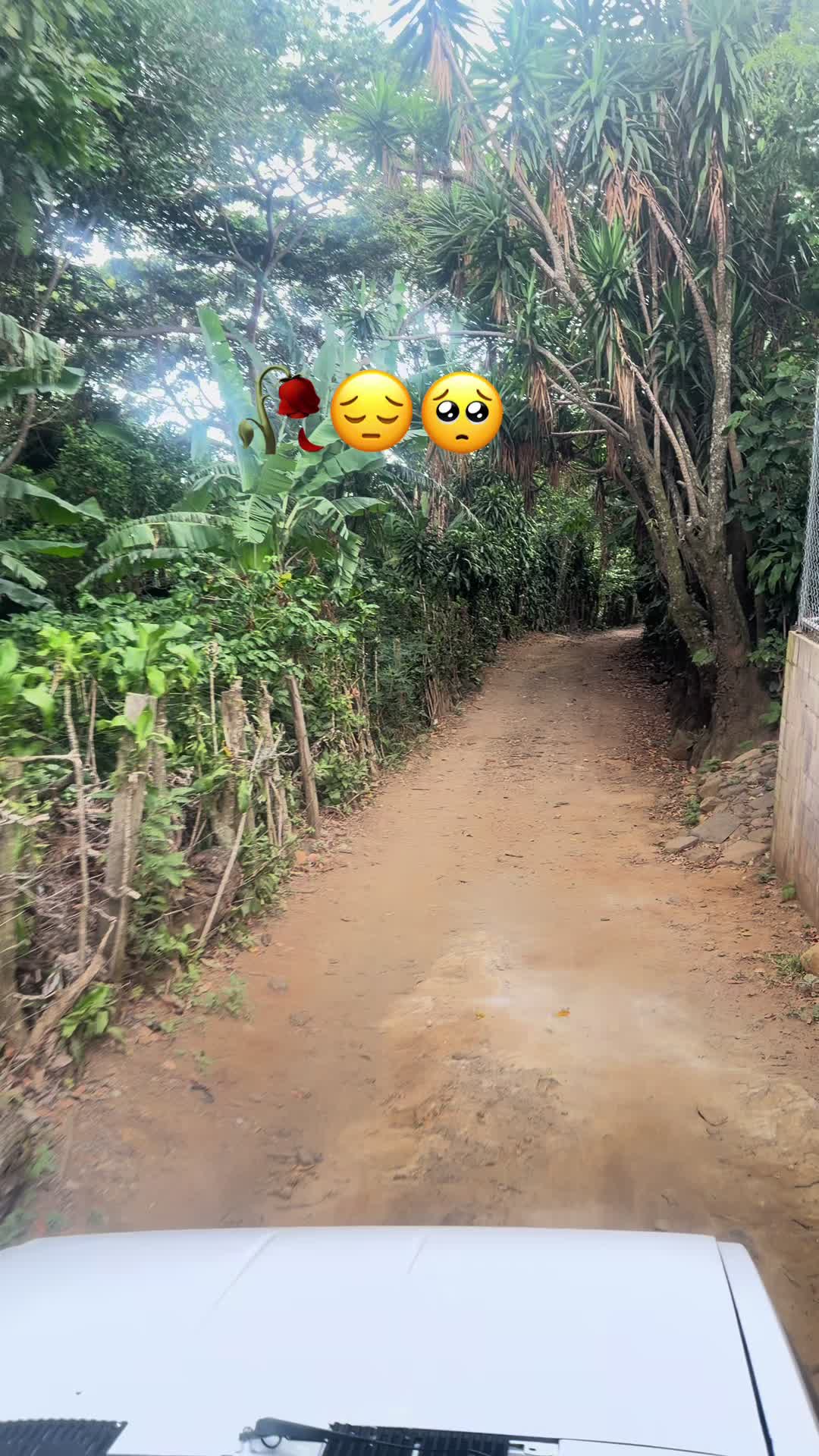 @guadalupetursios8