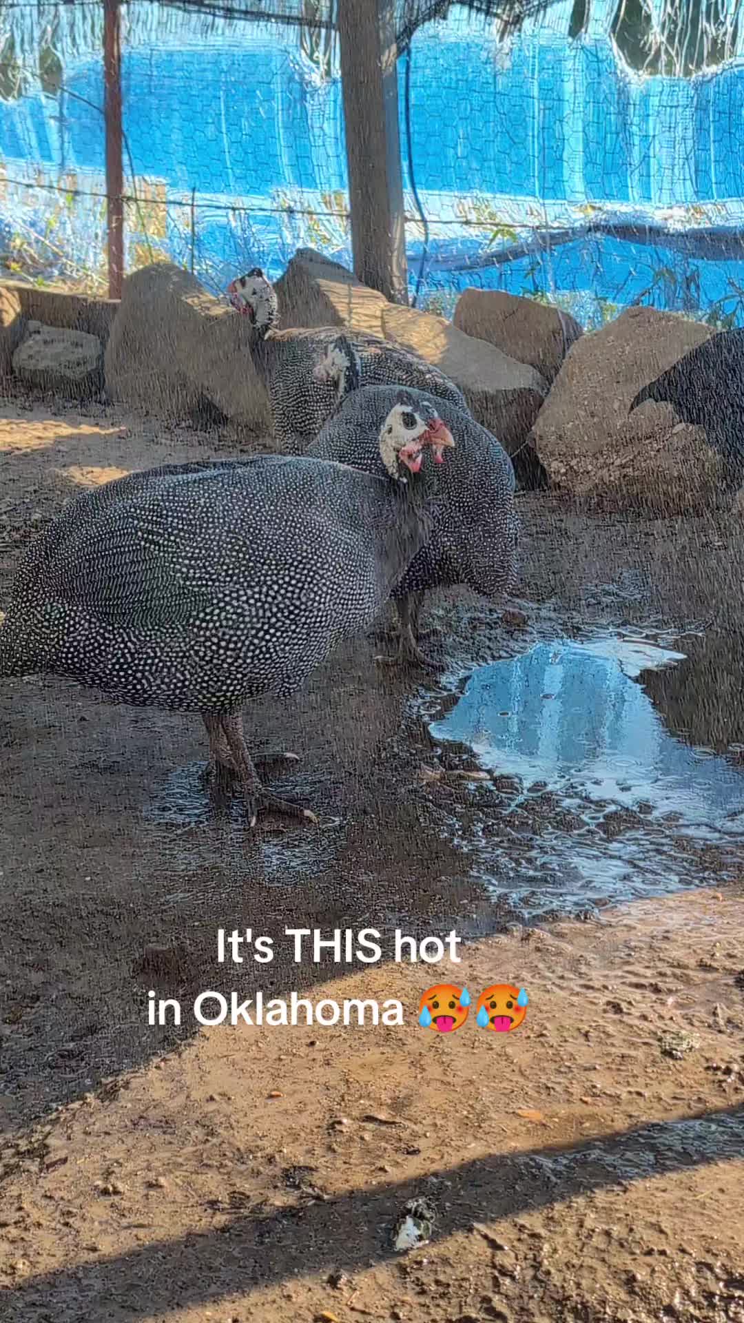 @OhBoyitsCoy๐๐โ๐ช