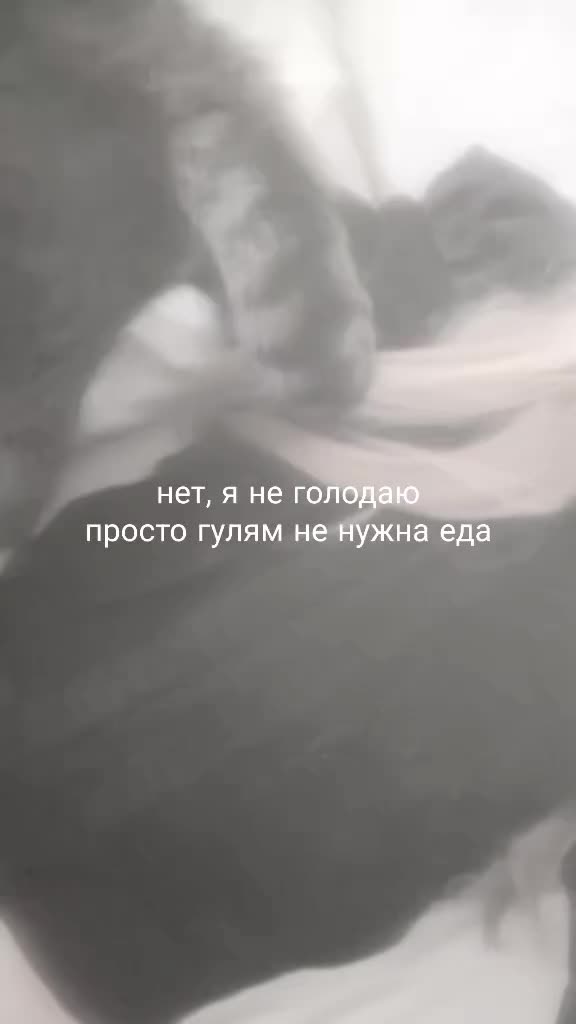 @п1мп04kа