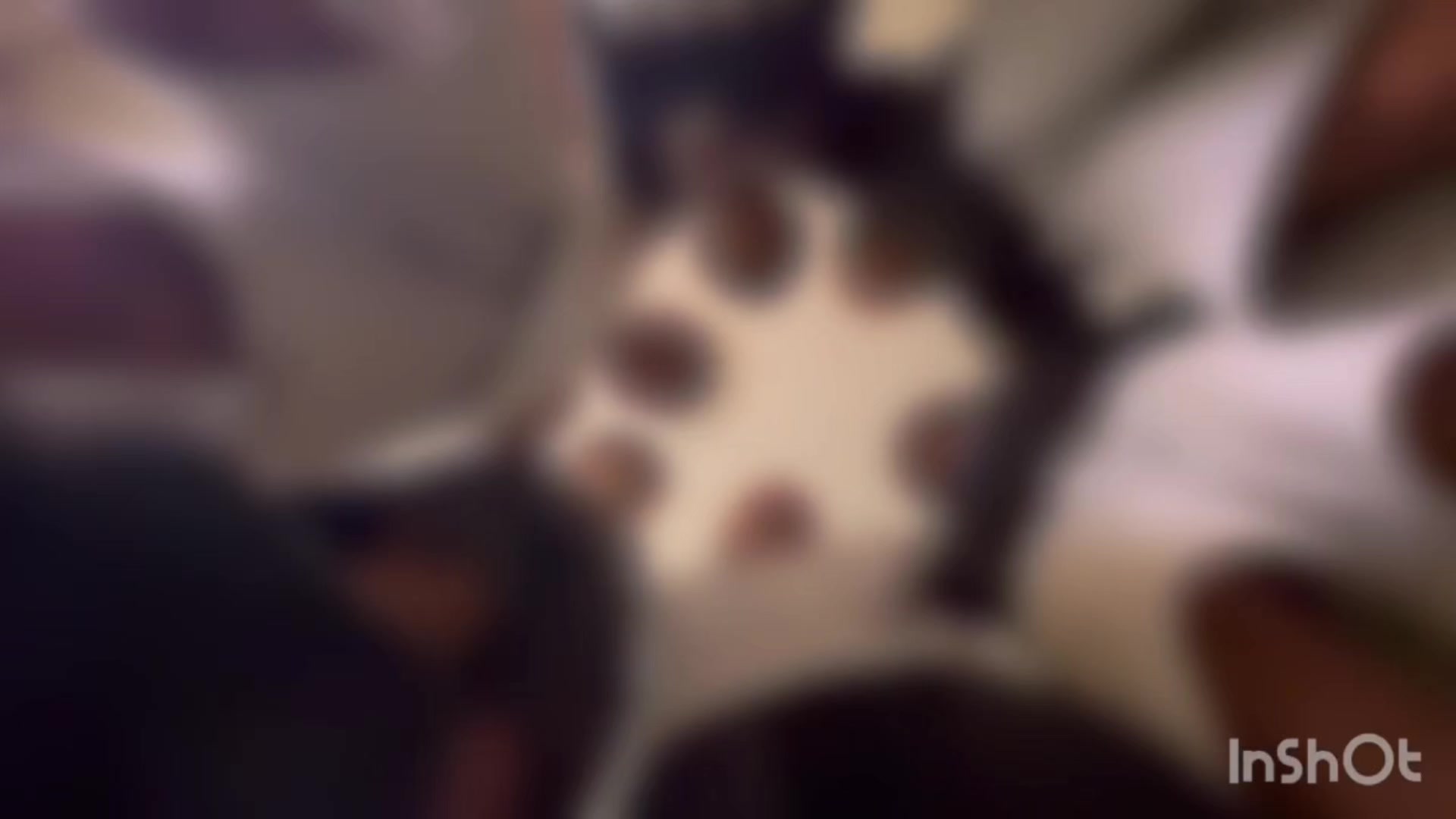 @kasuke.atx