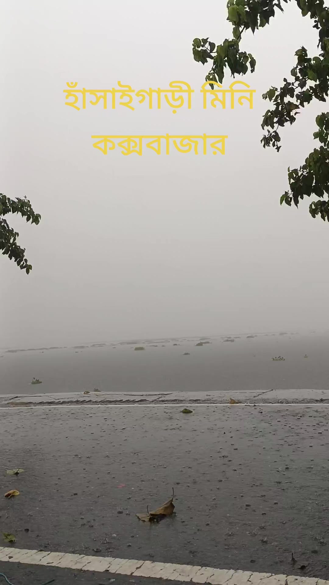 @❤️🅡🅐🅝🅐❤️`ঝরা পাতাシ❤️