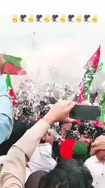 @tiger