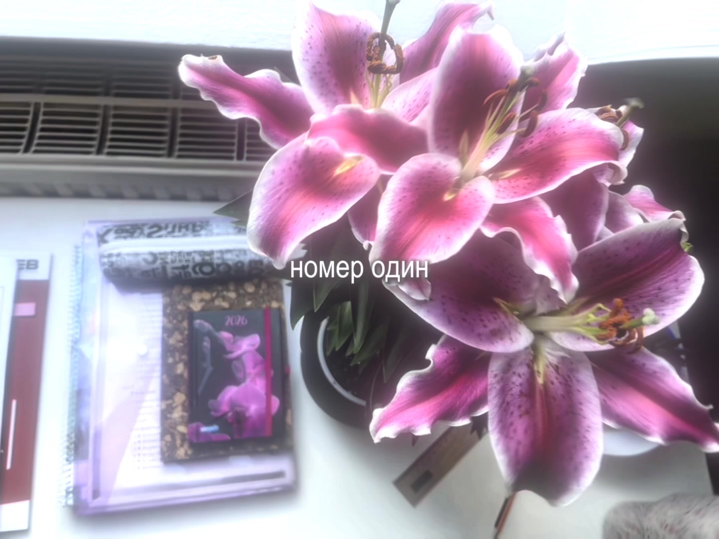 @звуки для липсингов