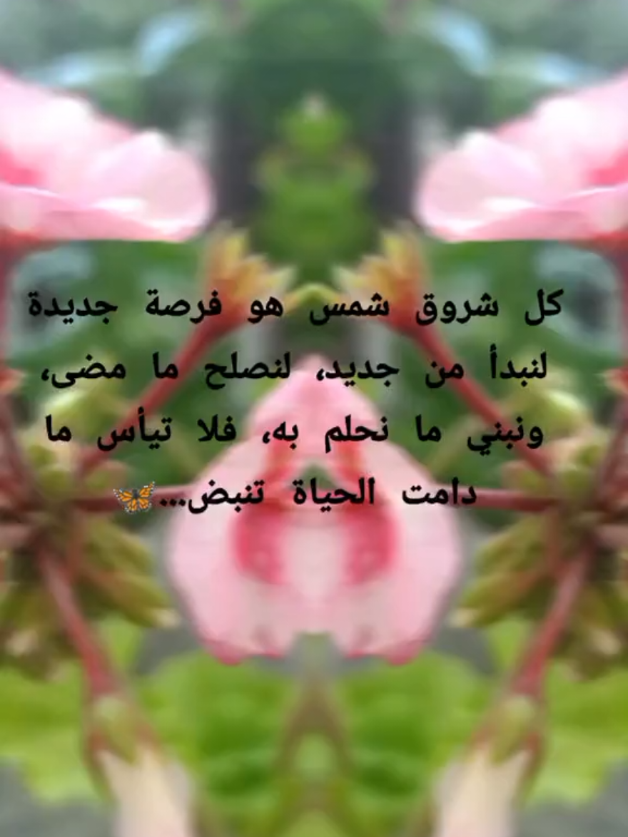 @Ryma~hel