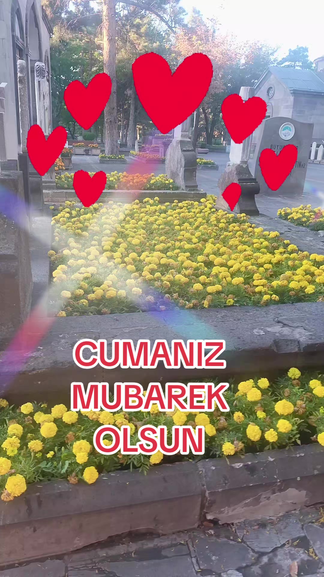 @gulvehsrn