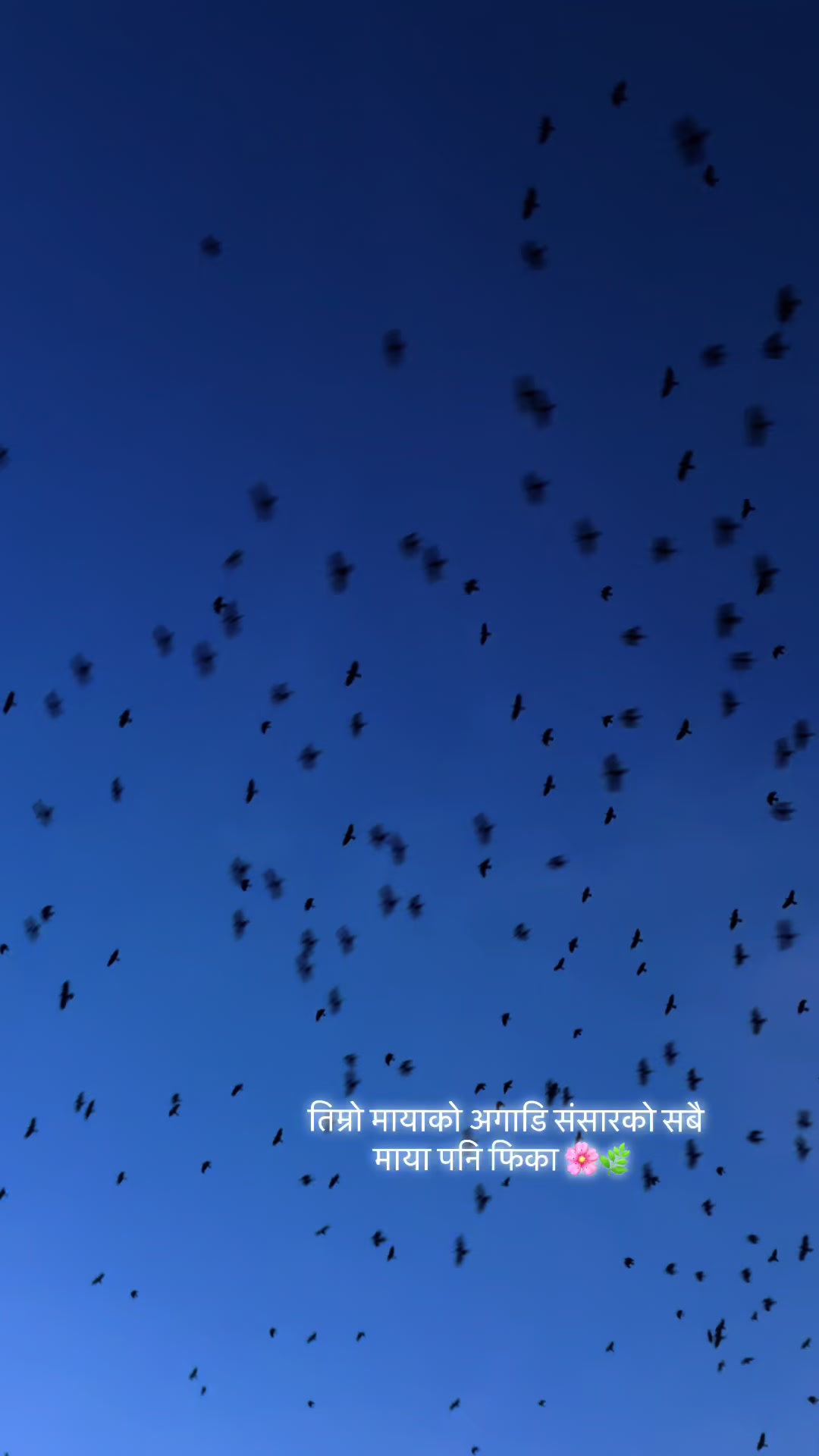 @SUNUWARMAA 💫