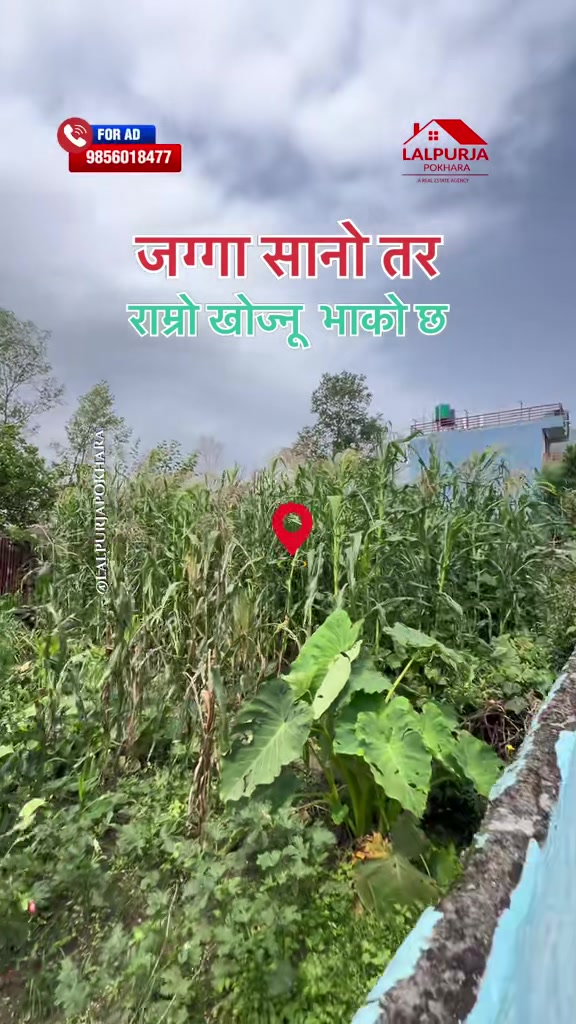 @Lalpurja Pokhara