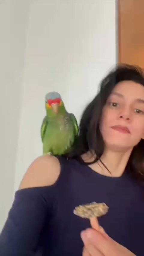 @Aviario FIFUS Guadalajara