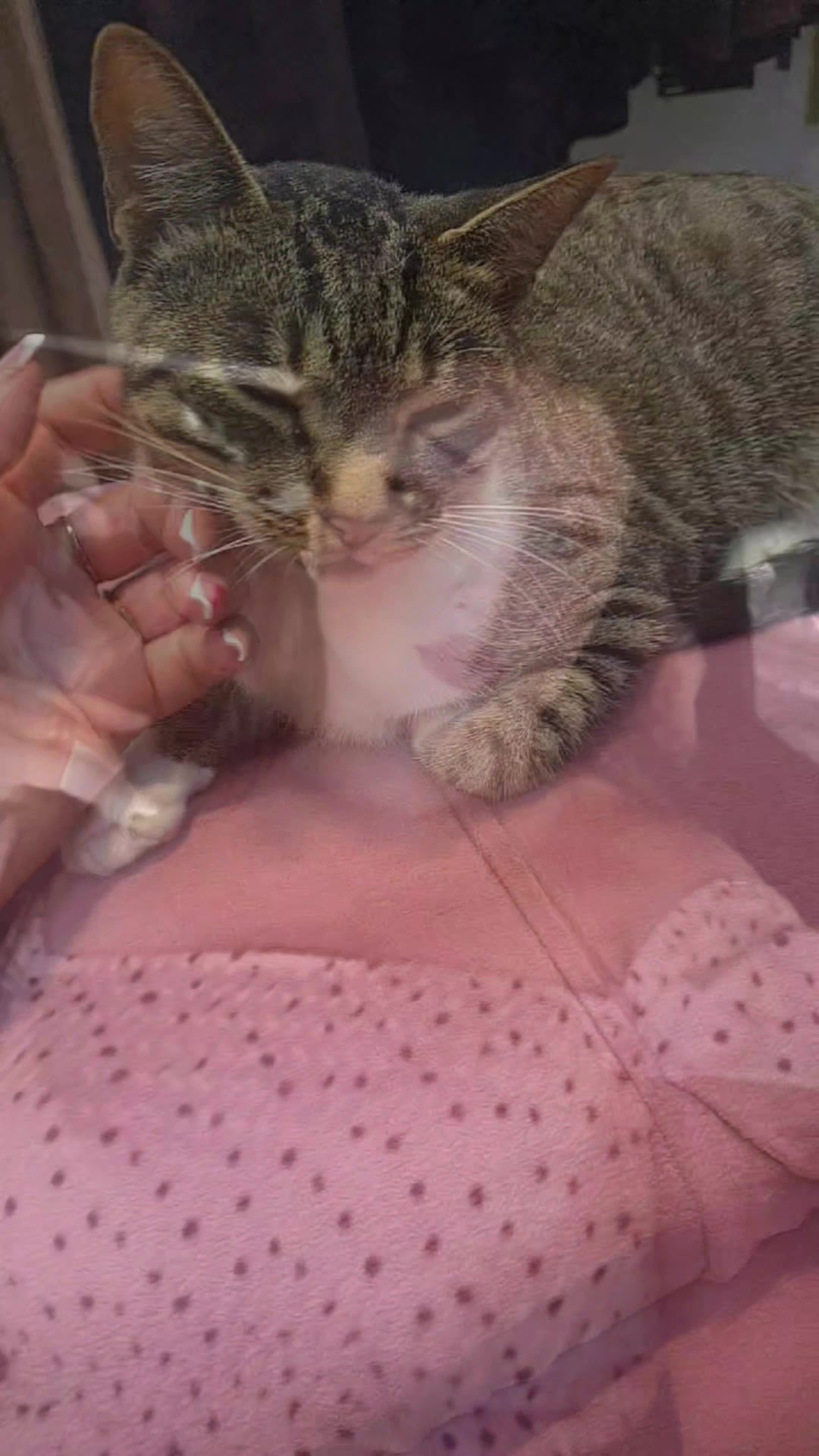@Gâtâ๐โฌโจ๏ธ