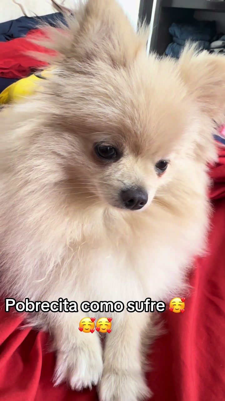 @ALE GUEDEA